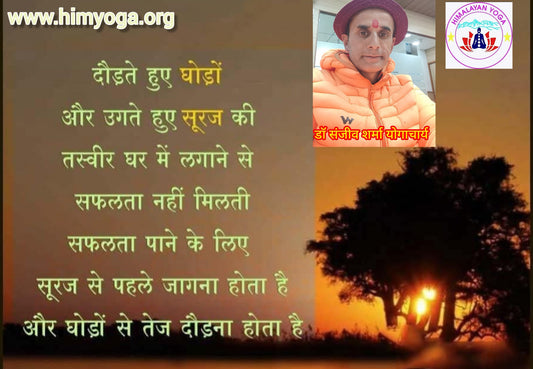 दौड़ते हुए घोड़ों और उगते हुए सूरज की तस्वीर घर में लगाने से सफलता नहीं मिलती