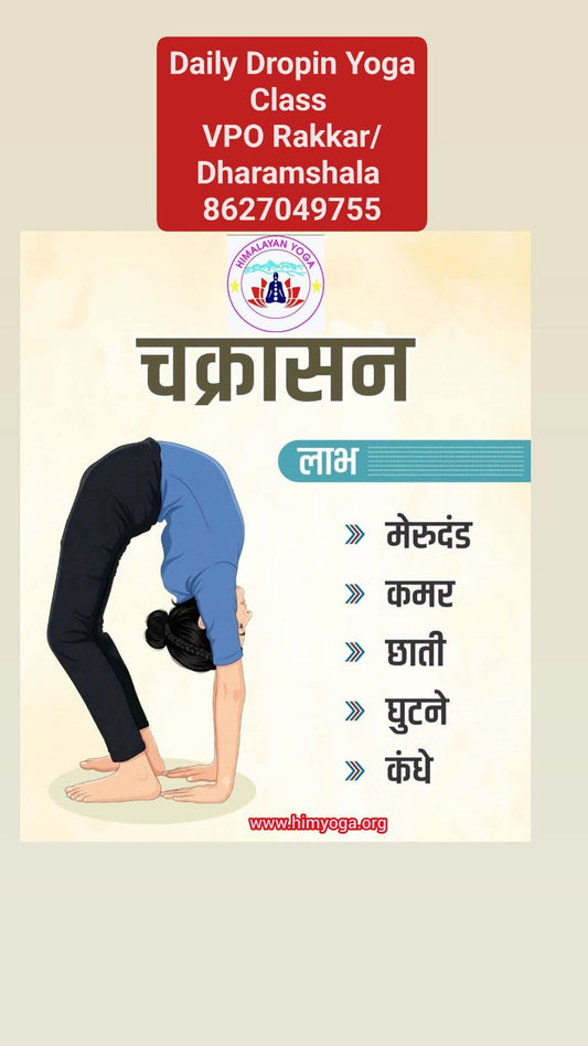 Daily Dropin Yoga Class