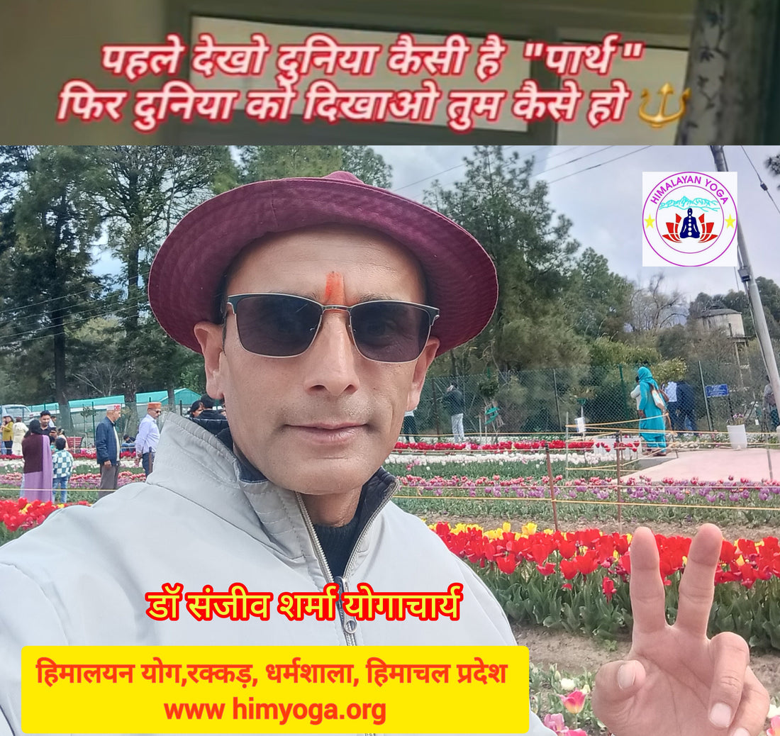 पहले देखो दुनिया कैसी है